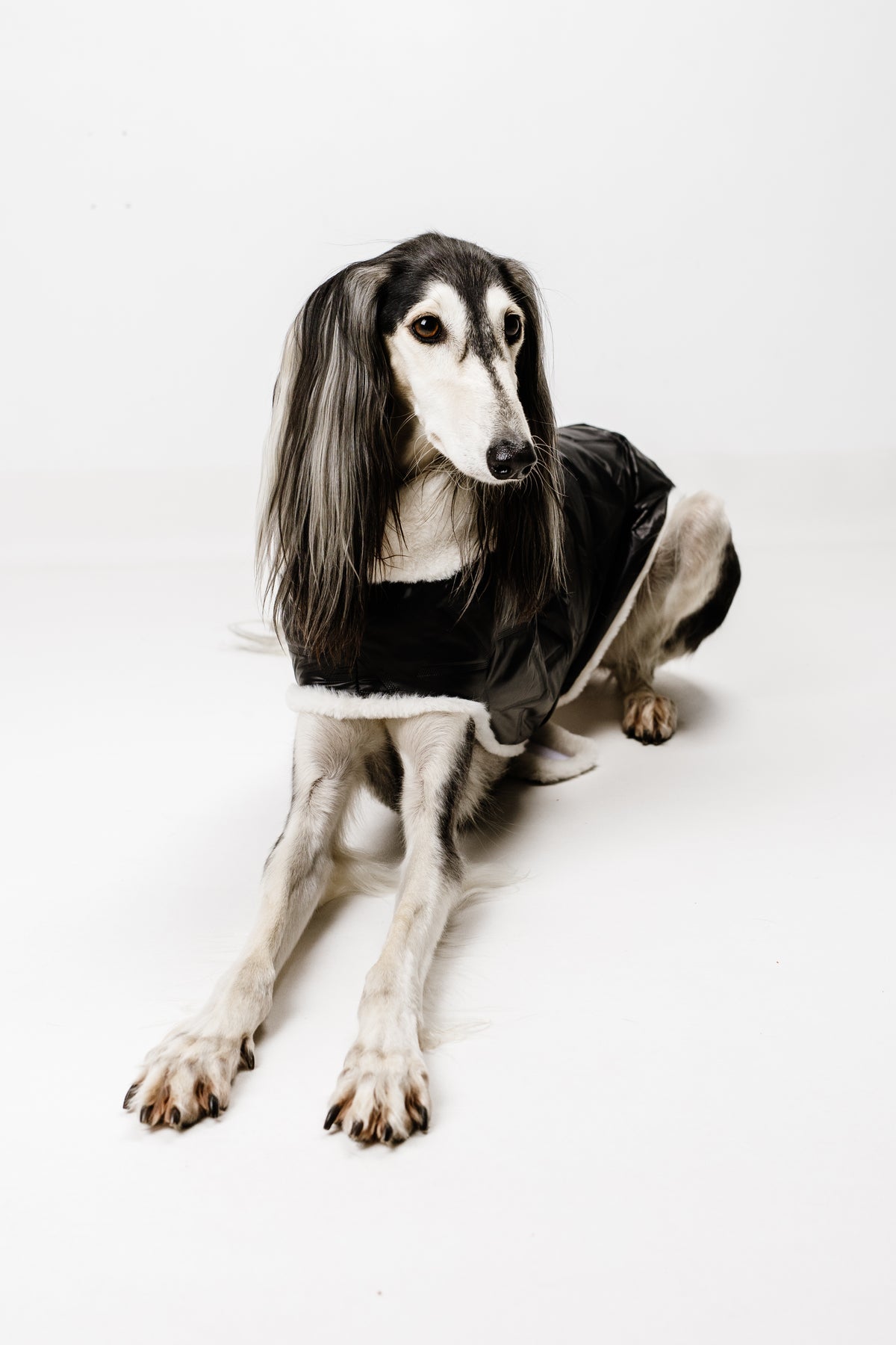 AMELIE (XL) – Zimska bundica