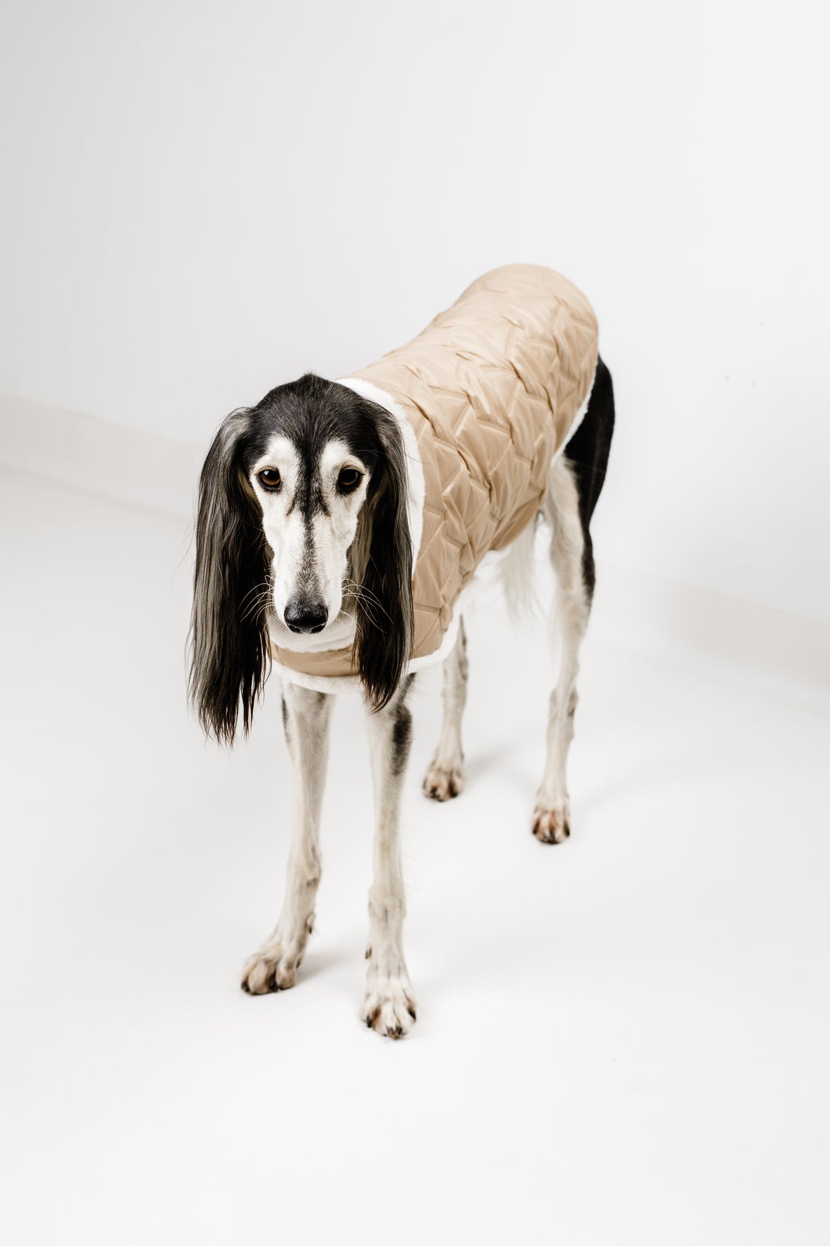 AMELIE (XL) – Zimska bundica