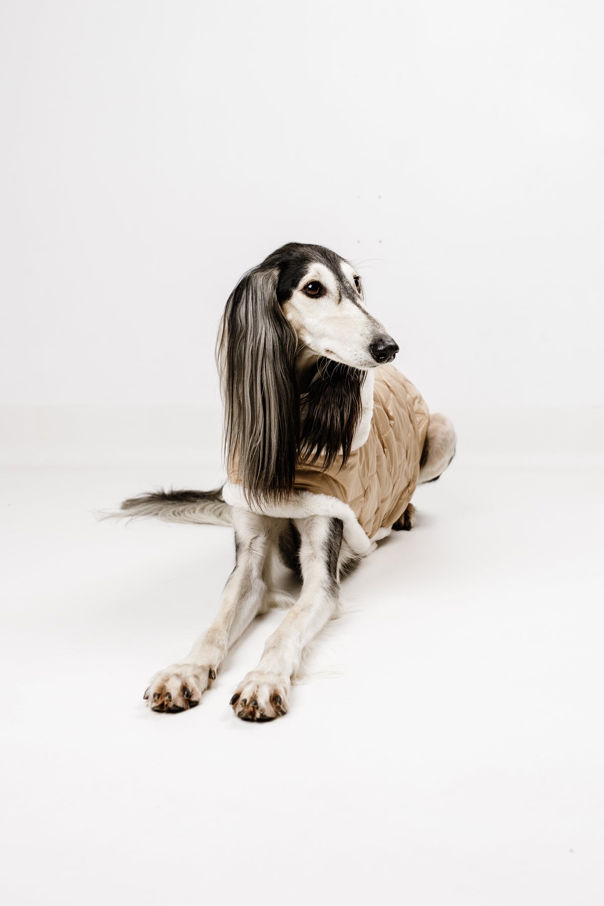 AMELIE (XL) – Zimska bundica
