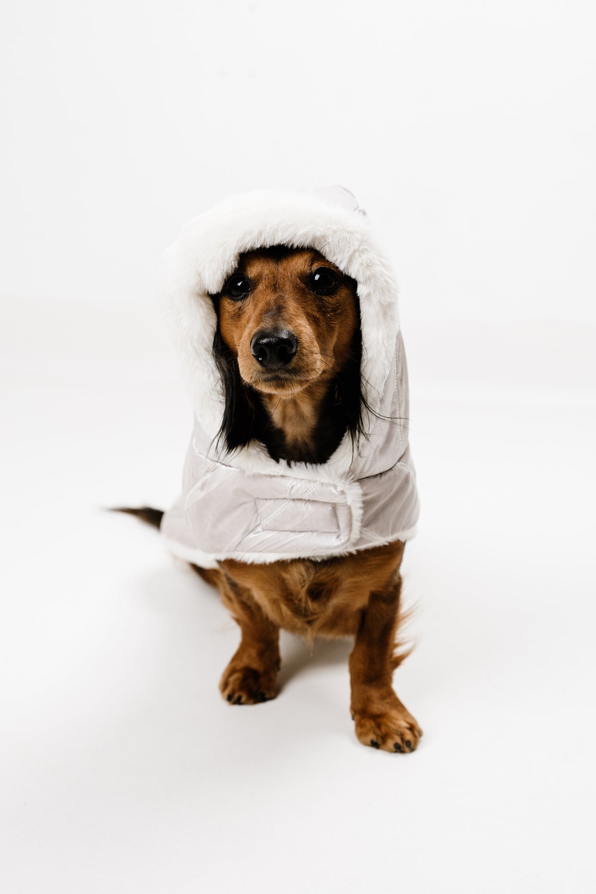 AMELIE (M) – Zimska bundica