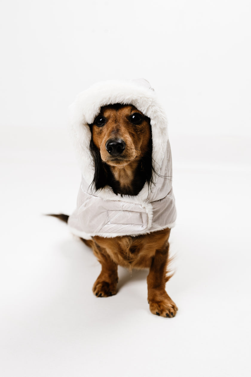 AMELIE (M) – Zimska bundica