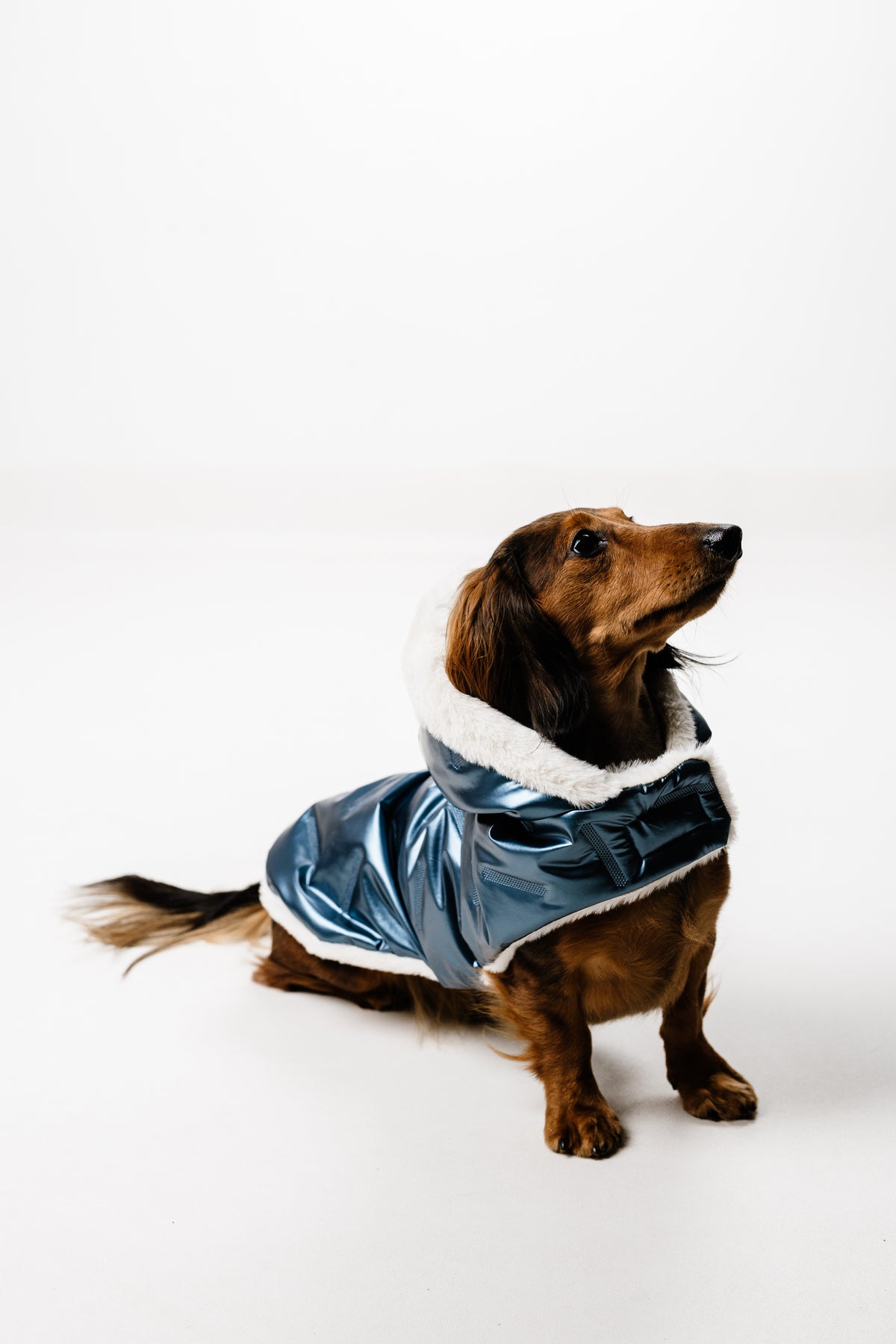 AMELIE (M) – Zimska bundica