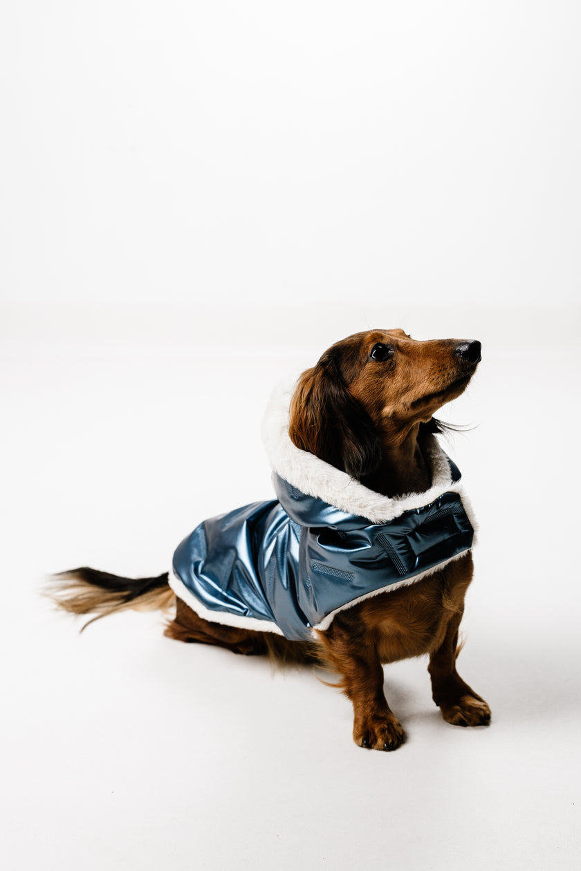 AMELIE (M) – Zimska bundica