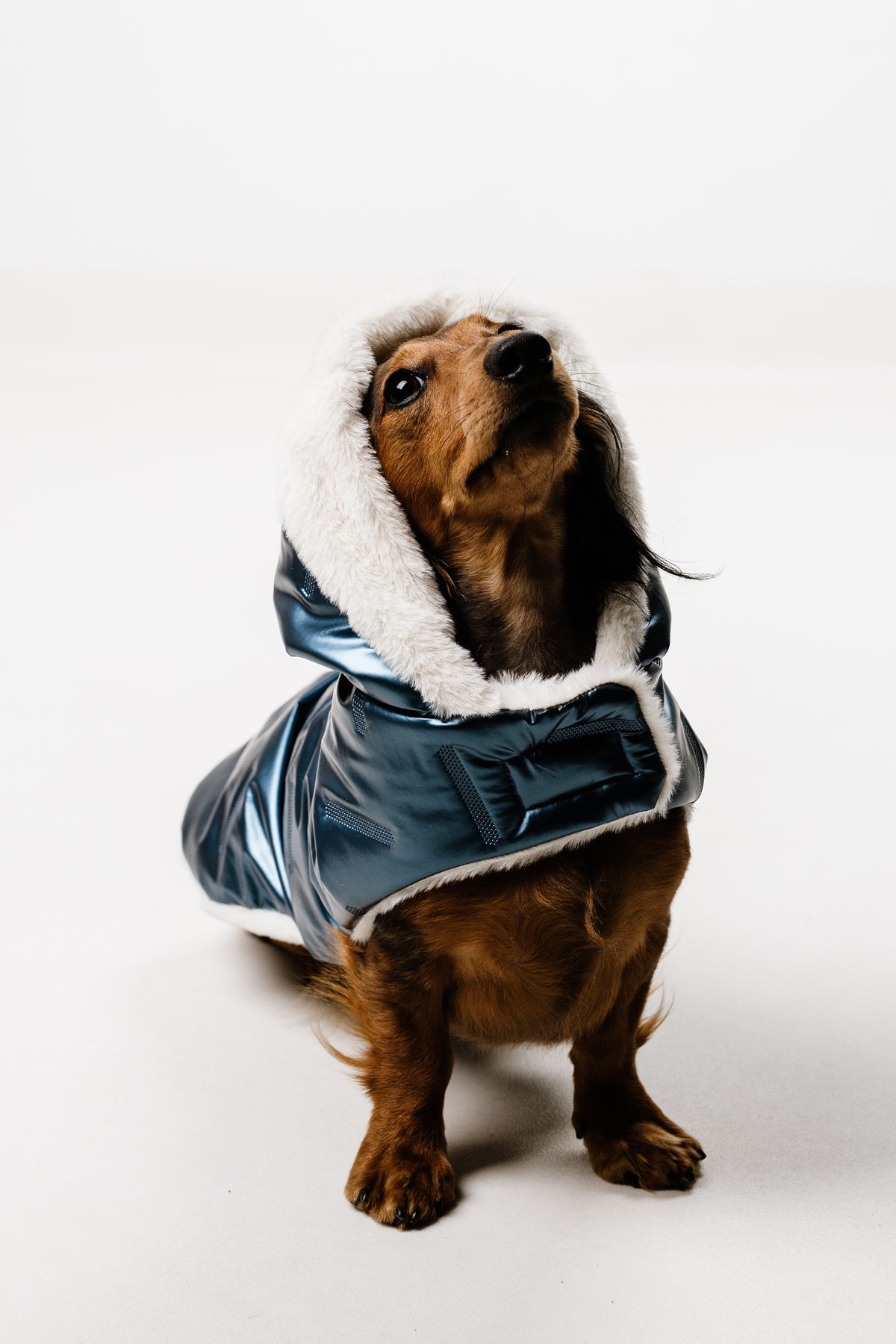 AMELIE (M) – Zimska bundica