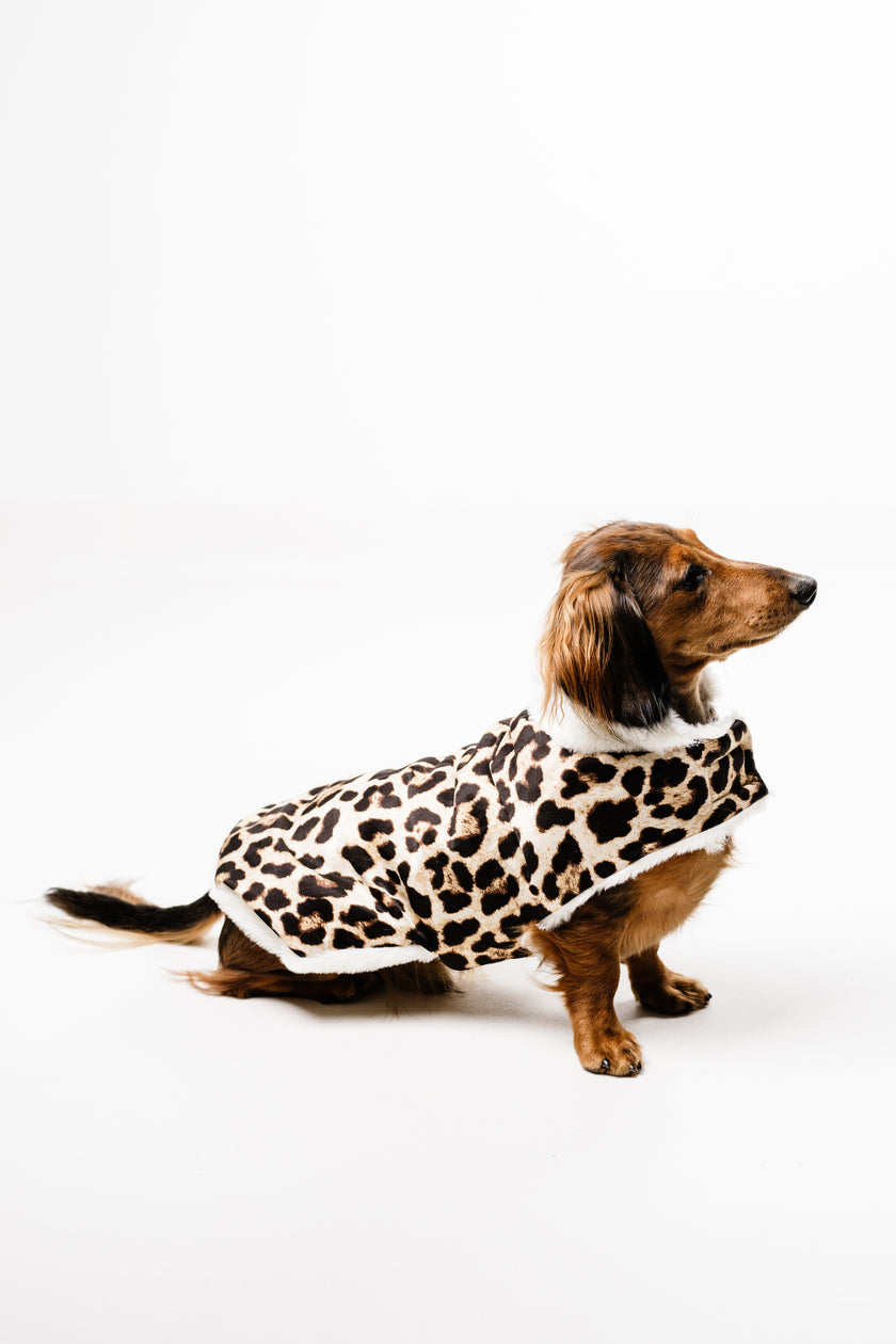 AMELIE (M) – Zimska bundica