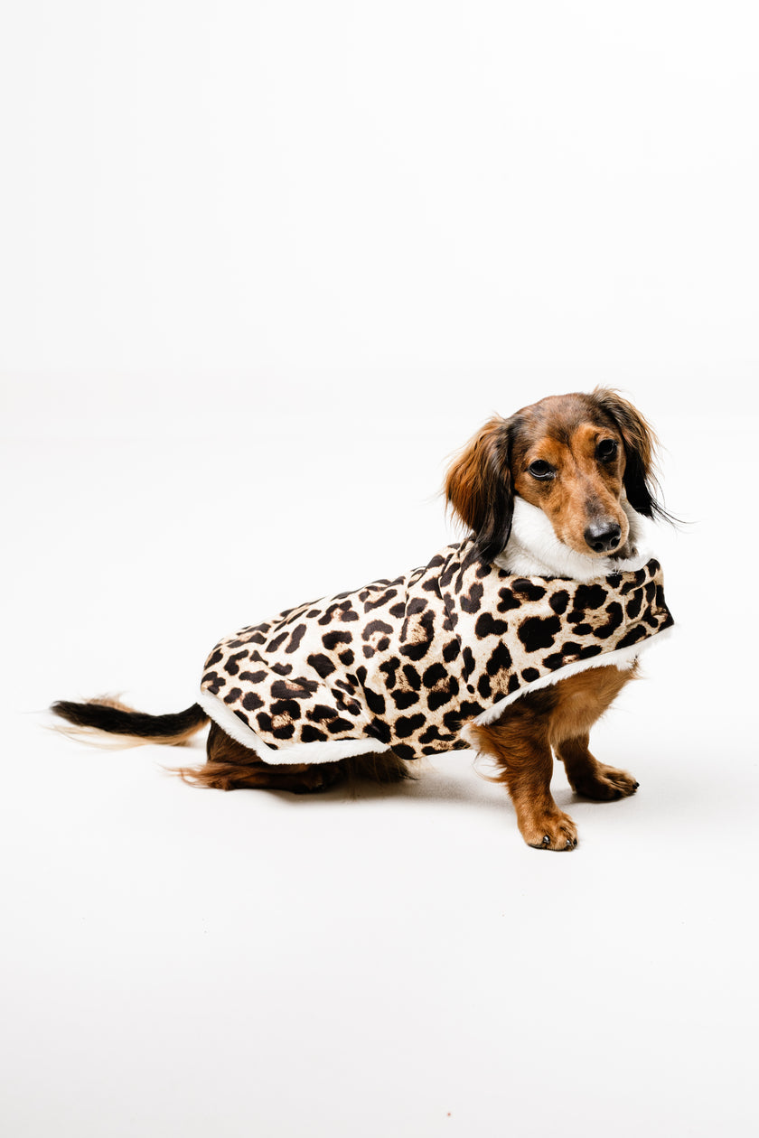 AMELIE (M) – Zimska bundica