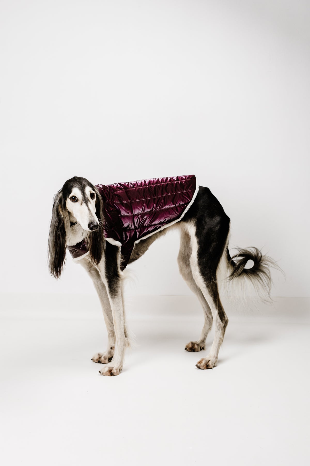 AMELIE (XL) – Zimska bundica