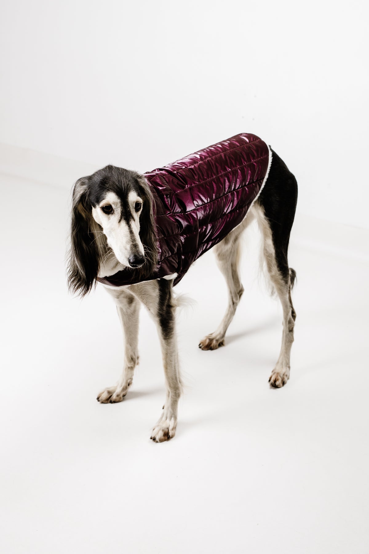 AMELIE (XL) – Zimska bundica