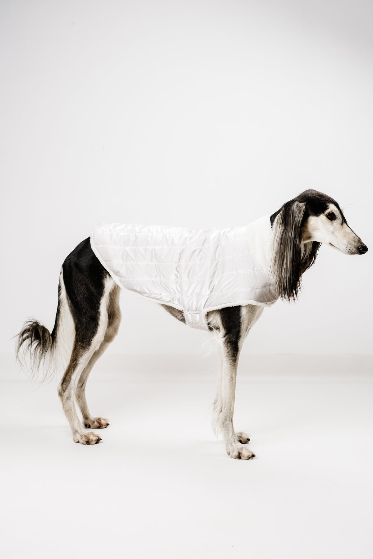 AMELIE (XL) – Zimska bundica