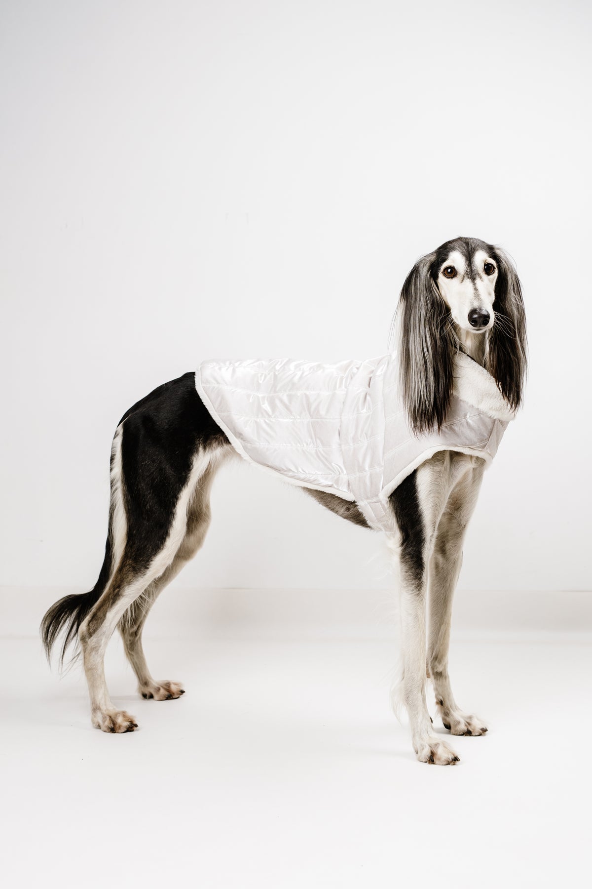 AMELIE (XL) – Zimska bundica