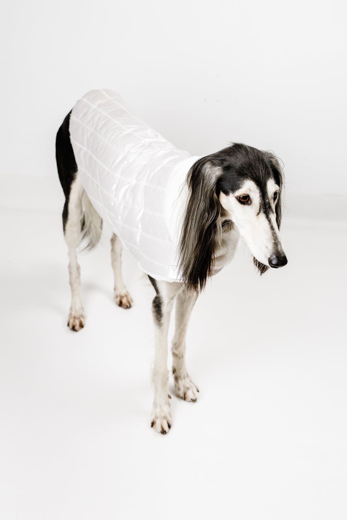 AMELIE (XL) – Zimska bundica